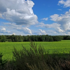 Татьяна Симоненко, 13.06, Москва