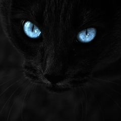 Тимур Тимуров, 08.11, Тюмень