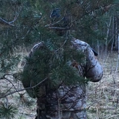 Сергей Ксенофонтов, 13.09.1988, Санкт-Петербург