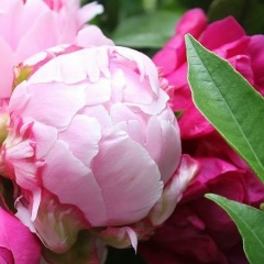 Екатерина Екатерина, 03.10, Минск