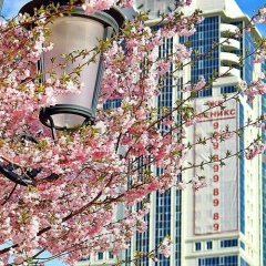 Дада-Из Багдада, 01.03.1993