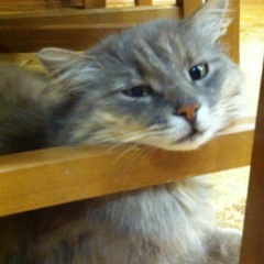 Евгений Свистунов, 12.11.1987, Арзамас