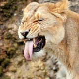 Елена Осколкова, 25.07.1980, Усть-Каменогорск