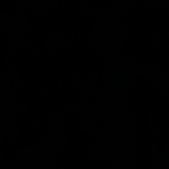 Настя Алексеева