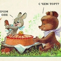 Анастасия Щеголькова, 27.03.1985, Санкт-Петербург