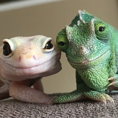 Юлия Глушакова, 22.03, Москва