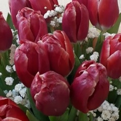 Светлана Антипова, 27.10.1962, Старая Русса