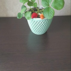 Алёна Гончаренко, 23.12, Москва