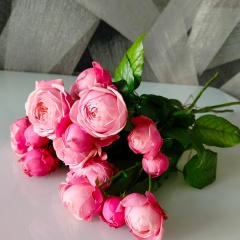 Надежда Горшенина, 13.11, Саратов