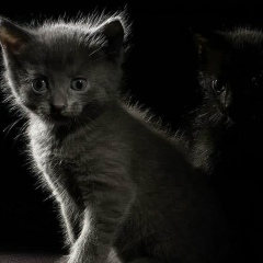 Ванек Виниамин, 18.05.1987, Кривой Рог