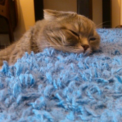 Илья Ходанов, 12.12.1986, Самара