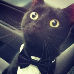 Асхат Нафиков, Челябинск