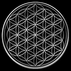 Валери Спайр