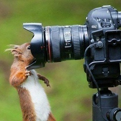 Милана Джебирханова, 05.06.1992, Грозный