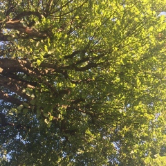 Тагир Актэмович, 05.03.1988, Москва