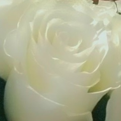 Наташа Ткаченко, 08.01.1991, Костанай