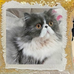 Санек Шумахер, 17.11, Санкт-Петербург