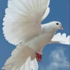 Ульяна Бабак, 18.09, Ульяновск