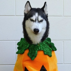 Андрей Чердак, 26.09, Москва