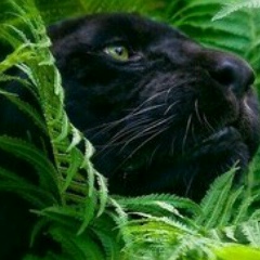 Снежана Карчевська, 05.06.1983, Киев