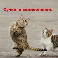 Ануар Ахметов, 16.01, Костанай