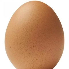 Kendel Joner, 19.01, Киев