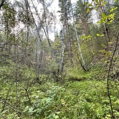 Наталья Казанцева, 21.05.2010, Новосибирск