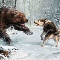 Іван Зіняк, 02.07.1991, Львов