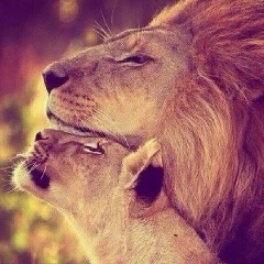 Евгений Соловьев, 11.07.1984, Алматы