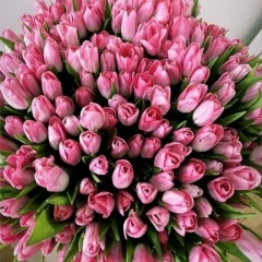 Ольга Мартынова, 11.04, Санкт-Петербург