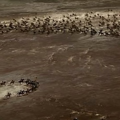 Шамиль Джабраилов, 09.08, Honiara