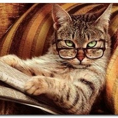 Марат Родеф, 24.01, Алматы