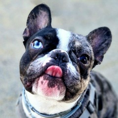 Мария Илюшкина, 15.11, Москва