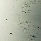 Виктор Перекатнов, 11.08.1990, Вахрушево