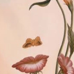 Жанна Zhanna, 14.02, Москва