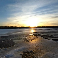 Лариса Катина, Вологда