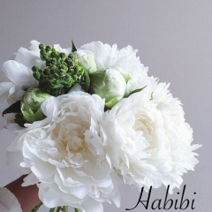 Акбота Даулет, 28.06