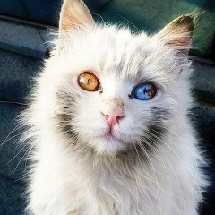 Алексей Медведев, 23.09.1997, Москва