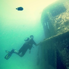 Роман Шабанов, 18.01.1985, Барнаул