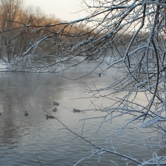 Денис Иванов, Екатеринбург