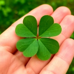 Дмитрий И Иван, 22.09, Санкт-Петербург