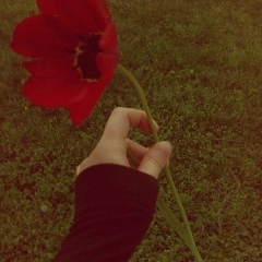 Айым Жылкышиева, 11.08.1995