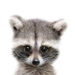 Антон Пушков, 17.03.1990, Москва