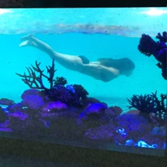 Айнура Айнура, 27.04