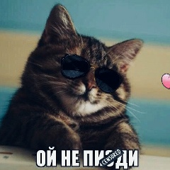 Тимур Айбашев, 07.08.1991, Казань