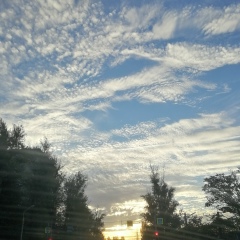 Анна Самсоник, 17.11.1986, Ростов-на-Дону