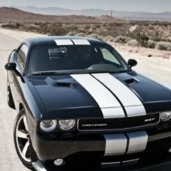 Wolf Zimmermann, 09.06, Hamburg