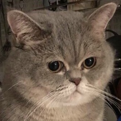 Нура Таскынгали, 05.12, Ōsaka