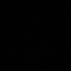 Олександра Василенко, Донецк