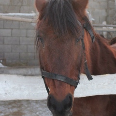 Маша Акоронко, 31.05.1998, Караганда